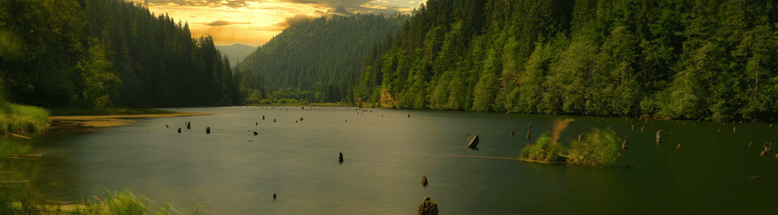 Hecht | HechtundBarsch.ch (Schweiz)