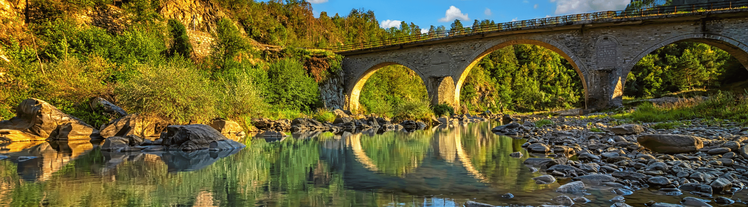 Zielfische | HechtundBarsch.ch (Schweiz)