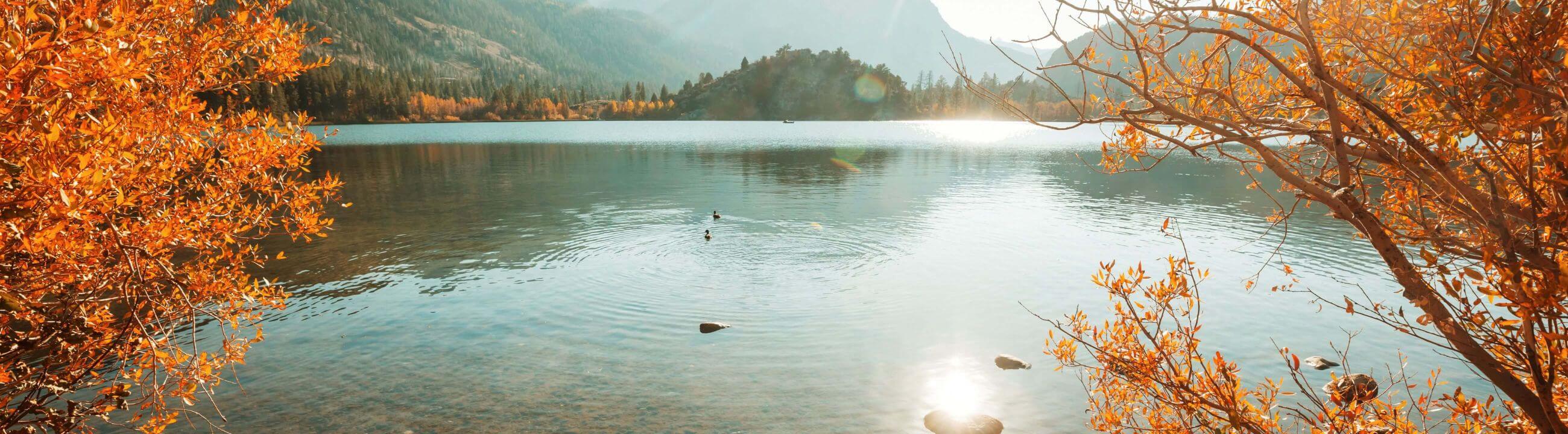 Auftriebskörper - Köderfisch unter Wasser präsentieren, Auftriebskörper für Deadbait