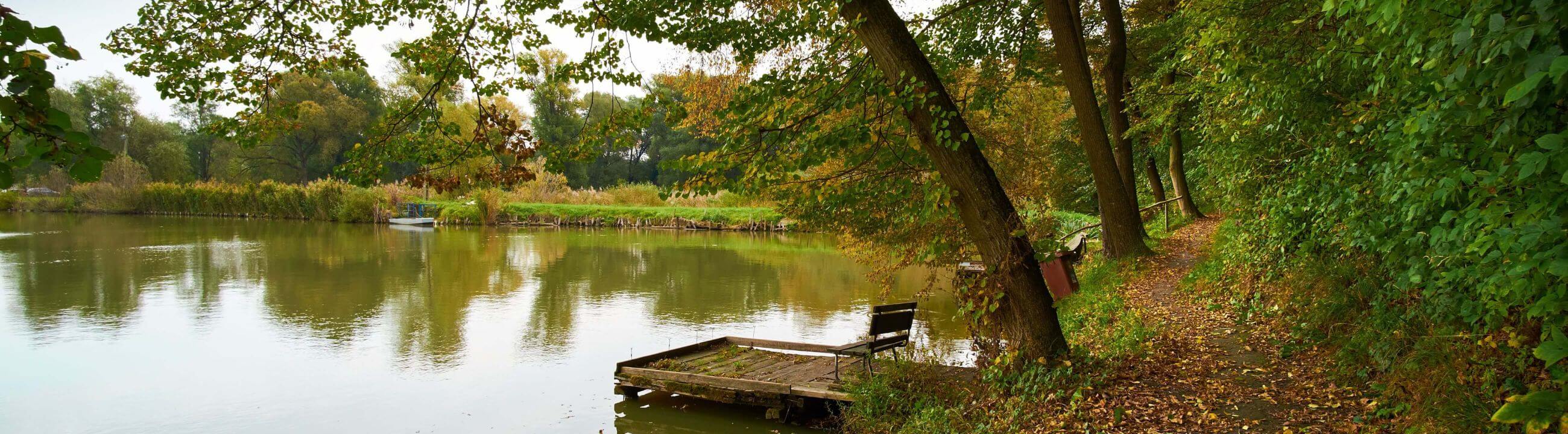 Deadbait Taschen , deine neue tasche zum verstauen deines Deadbaits equipments. Perfekte Tasche zum Ansitzangeln - collection banner