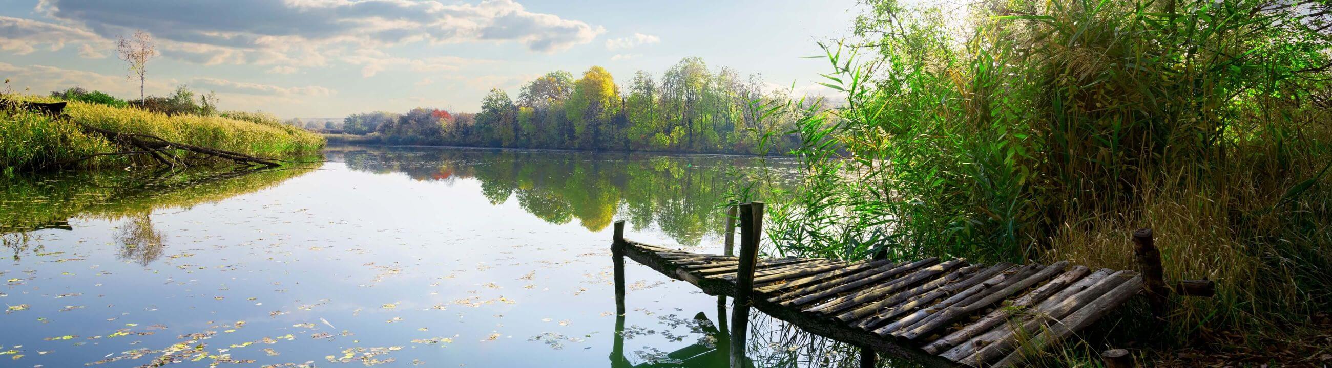 Deadbait Kescher bei HechtundBarsch.de