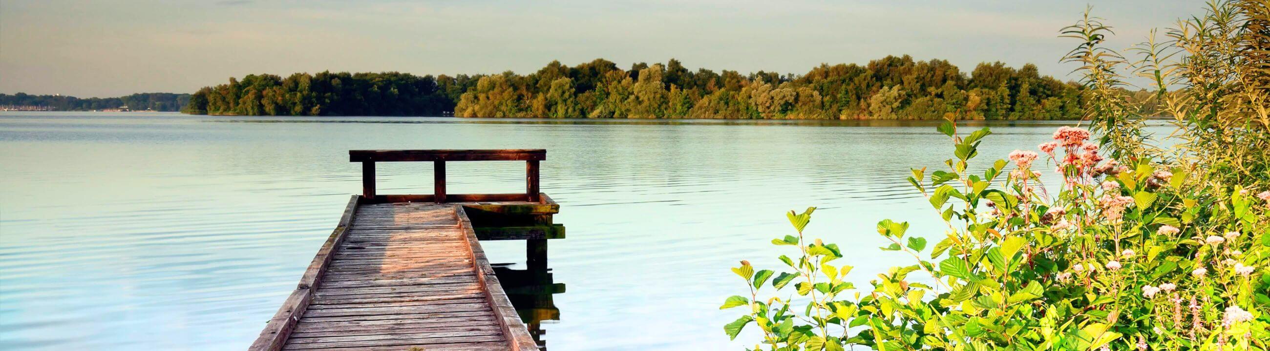 Deadbait Gewichte | HechtundBarsch.ch (Schweiz)
