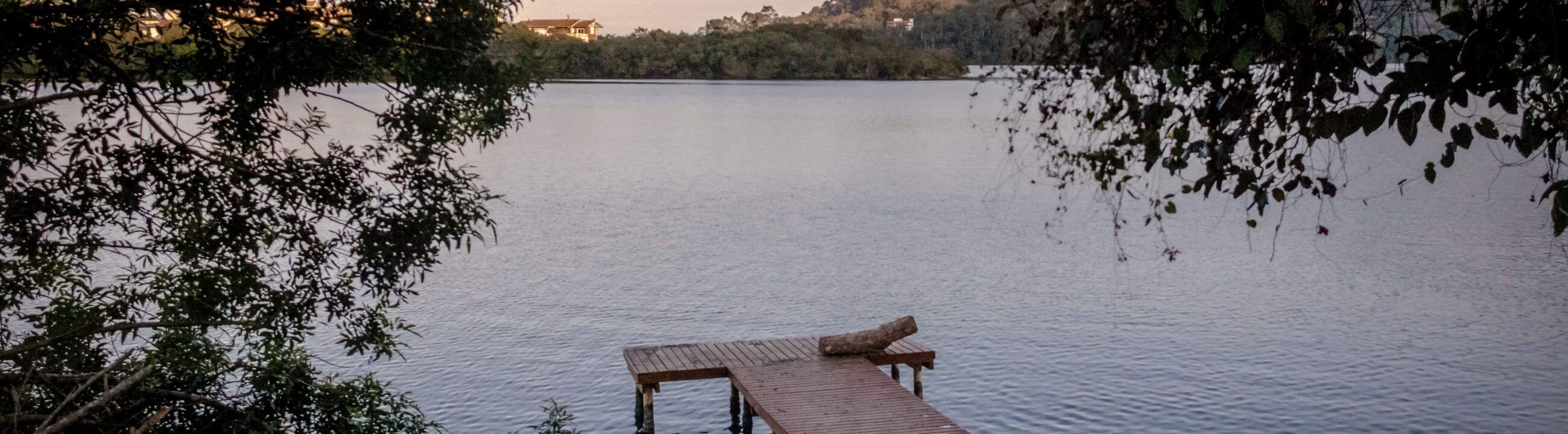 Bissanzeiger - kein Biss mehr verpassen, elektronischer Bissanzeiger , Bite Alarm - collection Banner