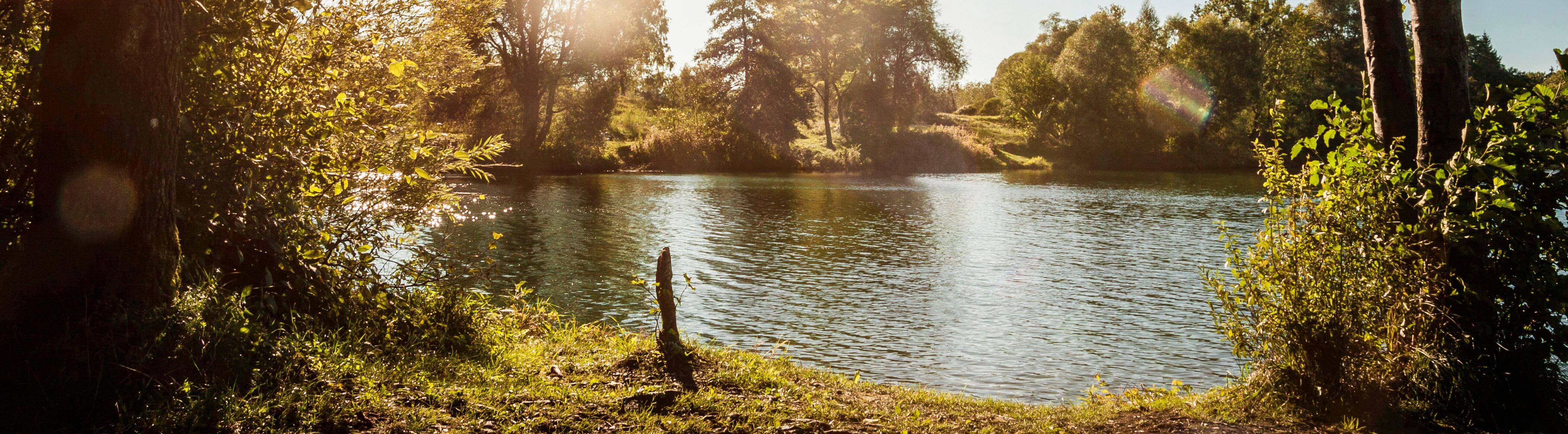 Deadbait Haken für deine Köderfischmontage, Haken für tote köderfische - Collection Banner