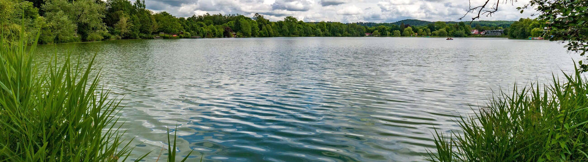 Deadbait Rollen | HechtundBarsch.ch (Schweiz)