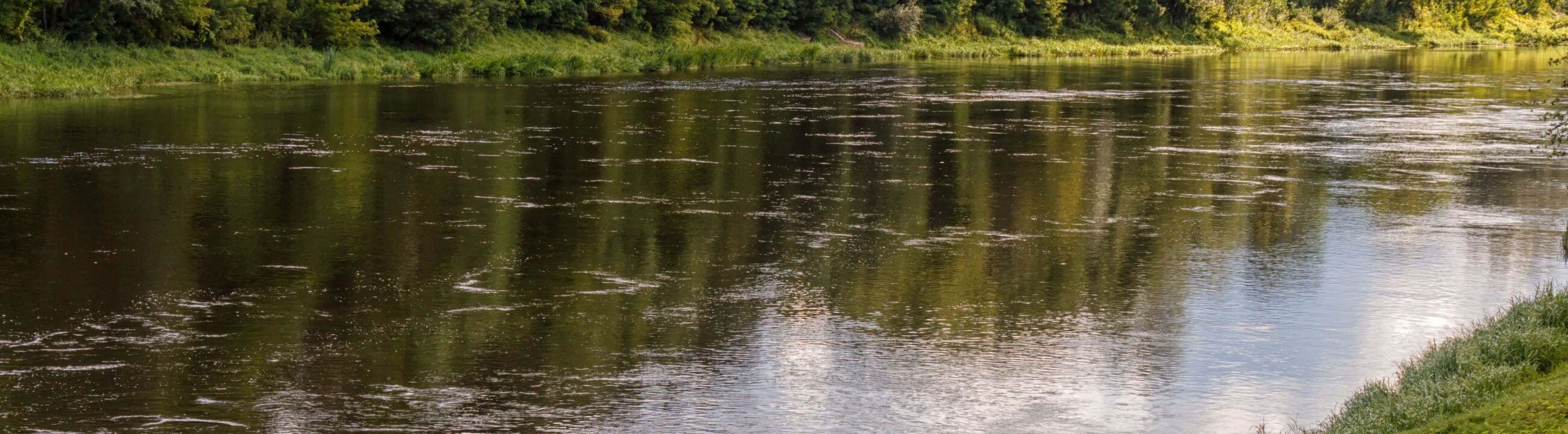 Deadbait Köder-Tuning, Köderfisch aFins, Collection Banner