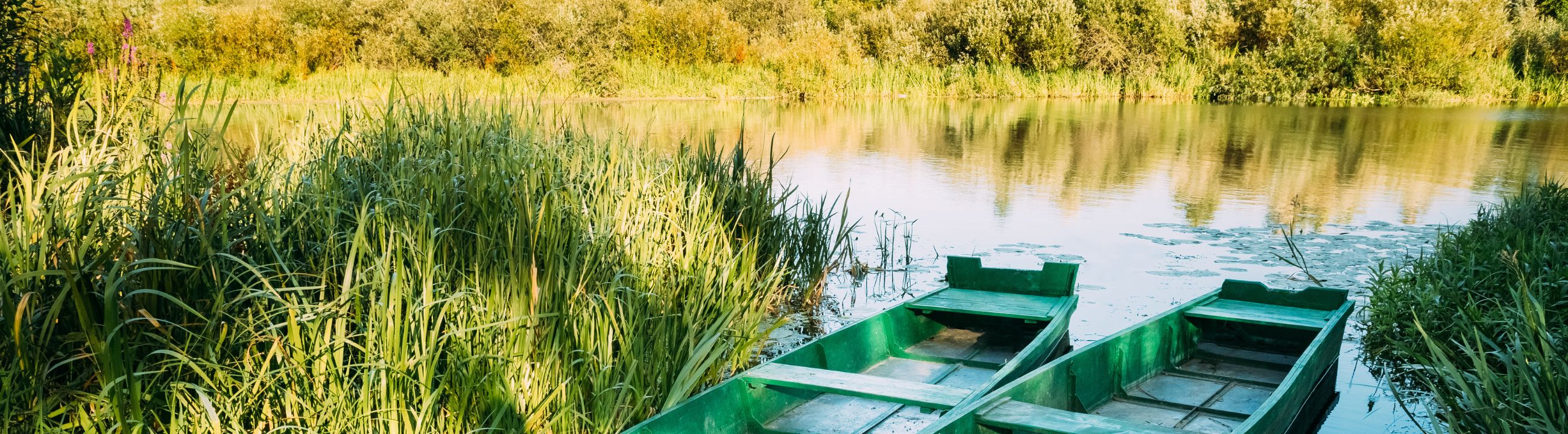 Chatterbaits für Barsch | HechtundBarsch.ch (Schweiz)
