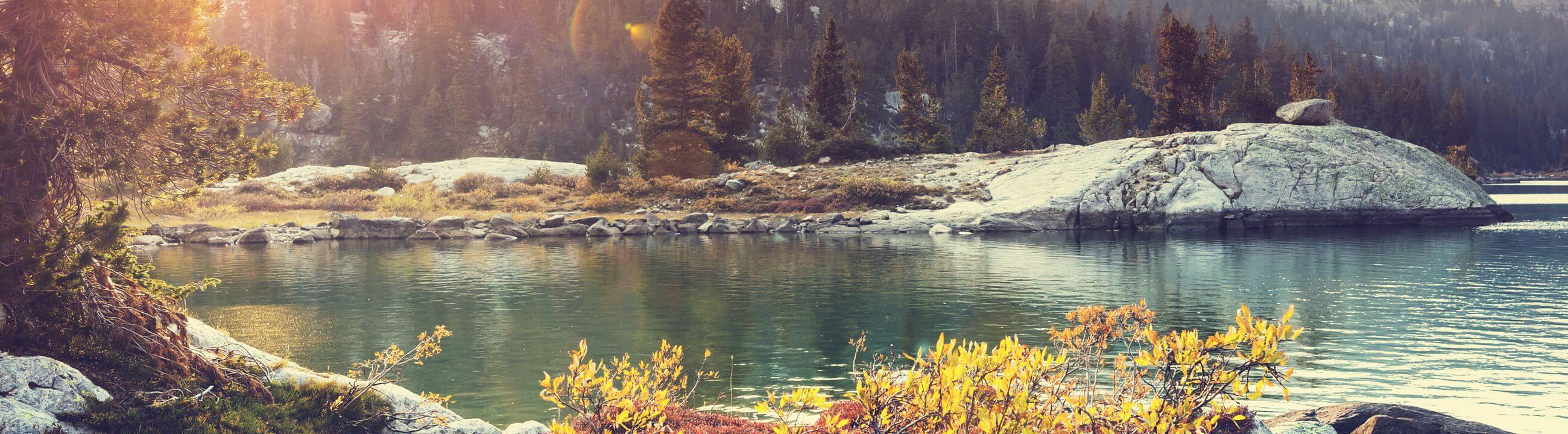 Collection Banner Crankbaits für Barsch