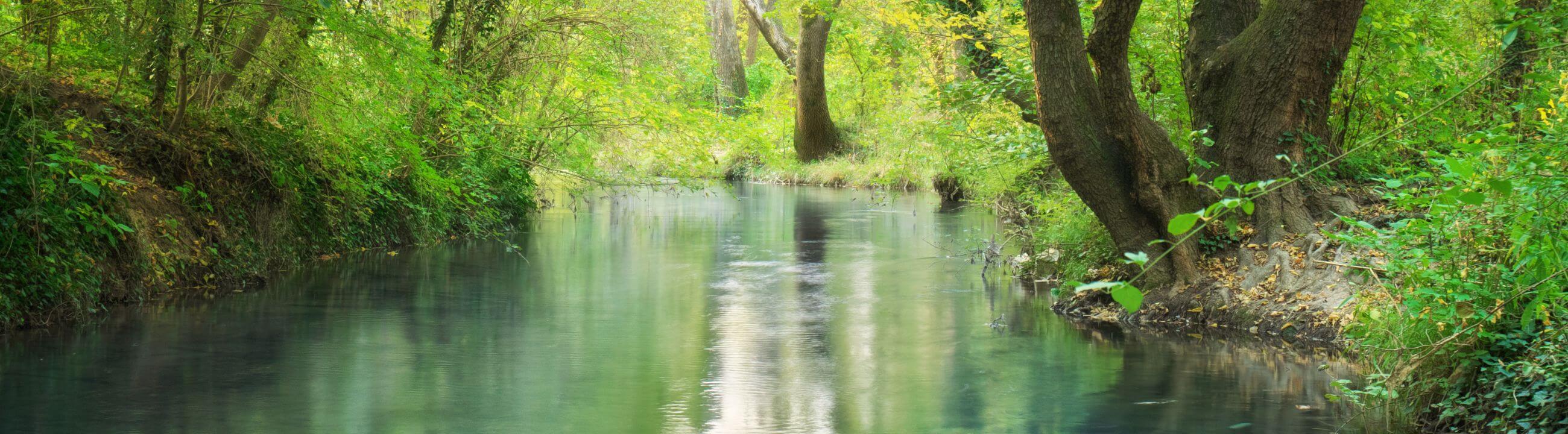 Collection Banner Crankbaits für hecht