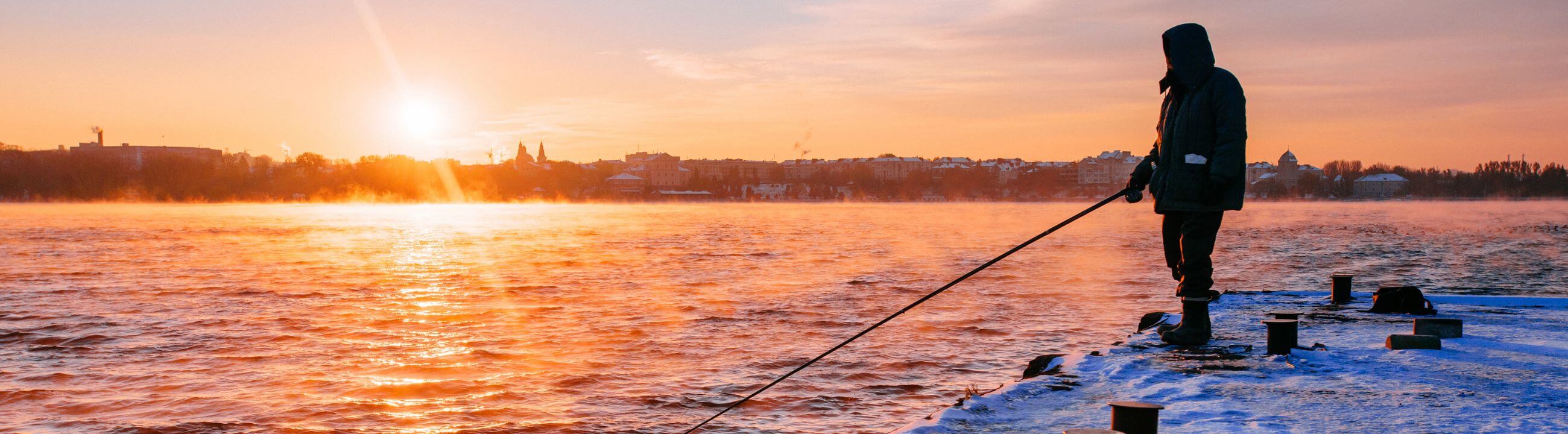 Collection Banner Wobbler für Barsch