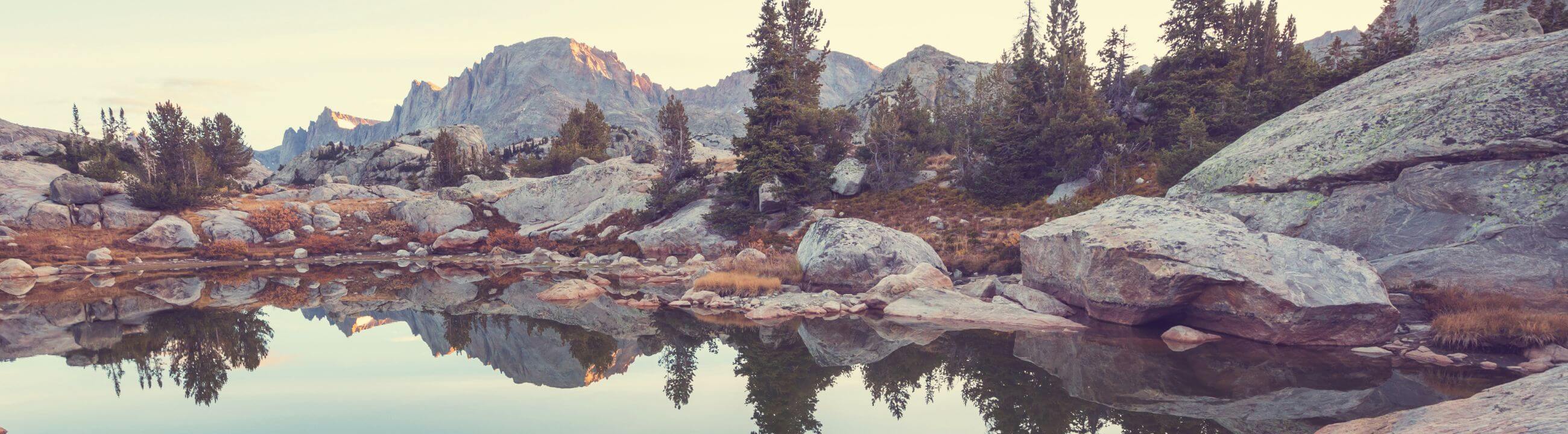 Collection Banner Wobbler für Hecht