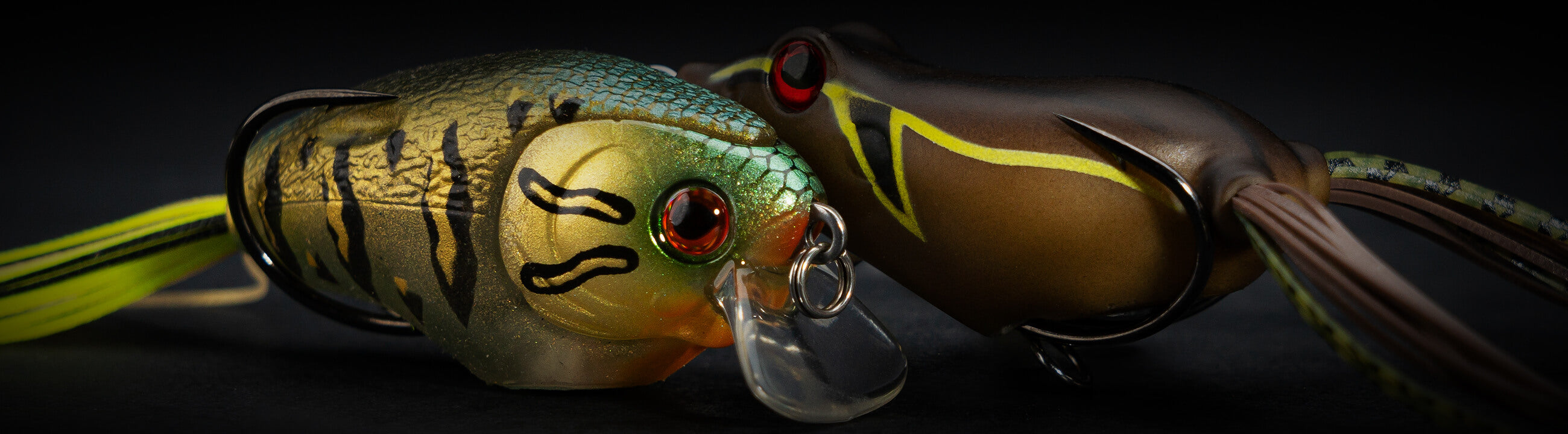 Frösche als Angelköder