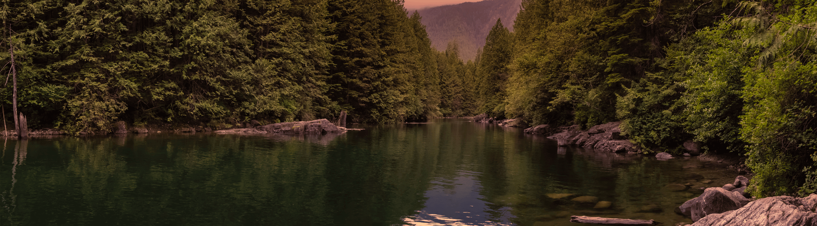 LMAB Hardbaits | HechtundBarsch.ch (Schweiz)