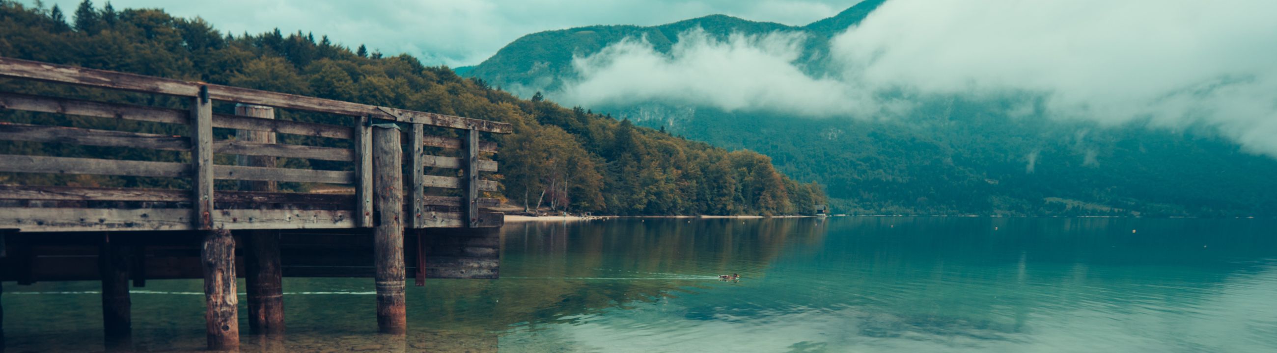 Rollenschutz | HechtundBarsch.ch (Schweiz)