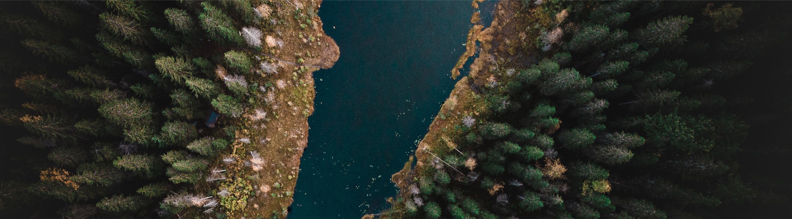 Daiwa Kleidung | HechtundBarsch.ch (Schweiz)