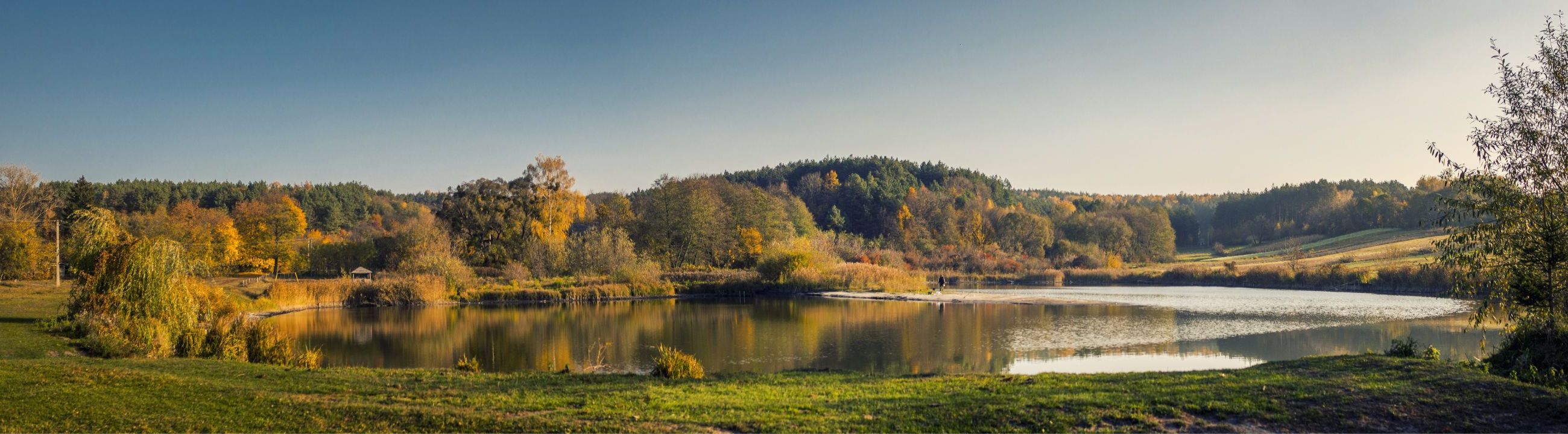 Fox Rage Metallköder | HechtundBarsch.ch (Schweiz)