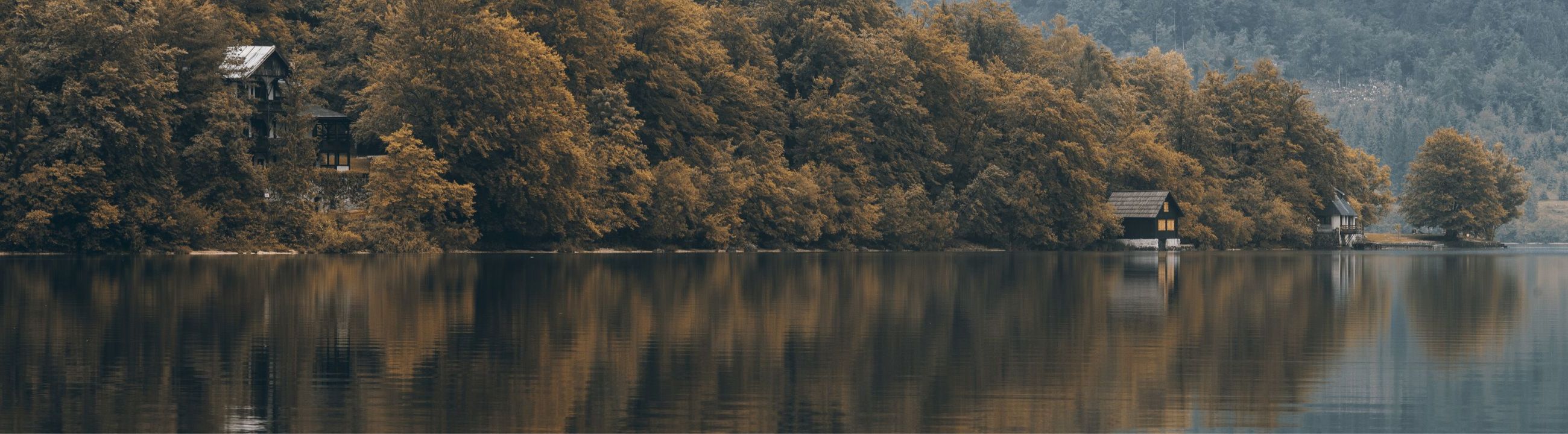Savage Gear Softbaits | HechtundBarsch.ch (Schweiz)