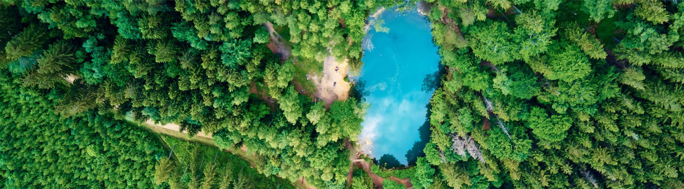 Shimano Stationärrollen | HechtundBarsch.ch (Schweiz)
