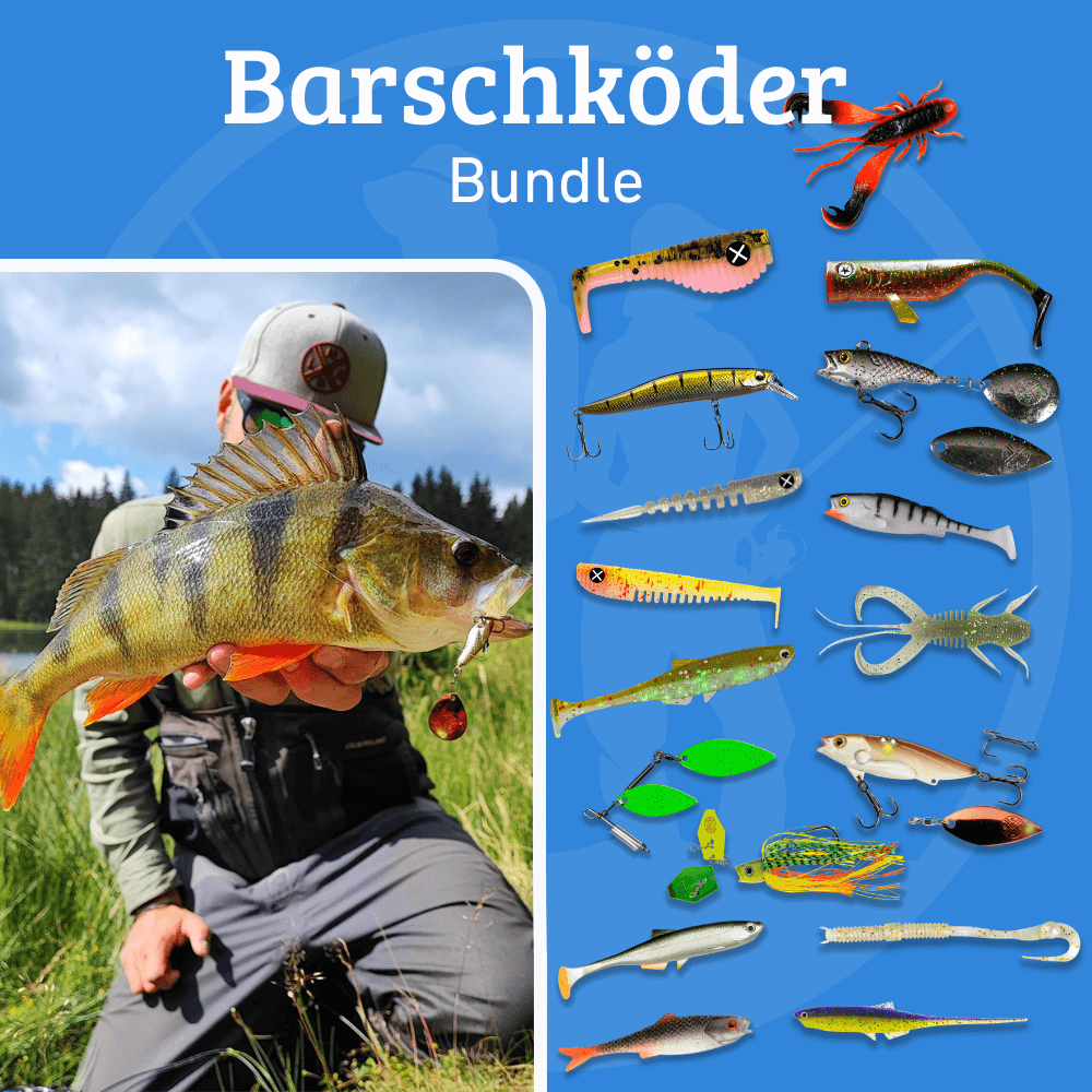 Barschkoder Bundle Vorschau