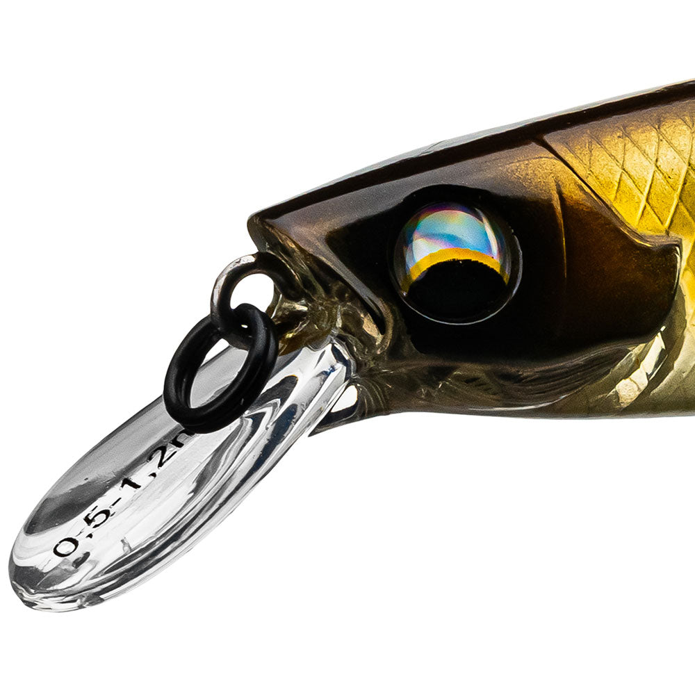 LMAB KOFI Flash Vibe 98 Kopfansicht vom Flachläufer