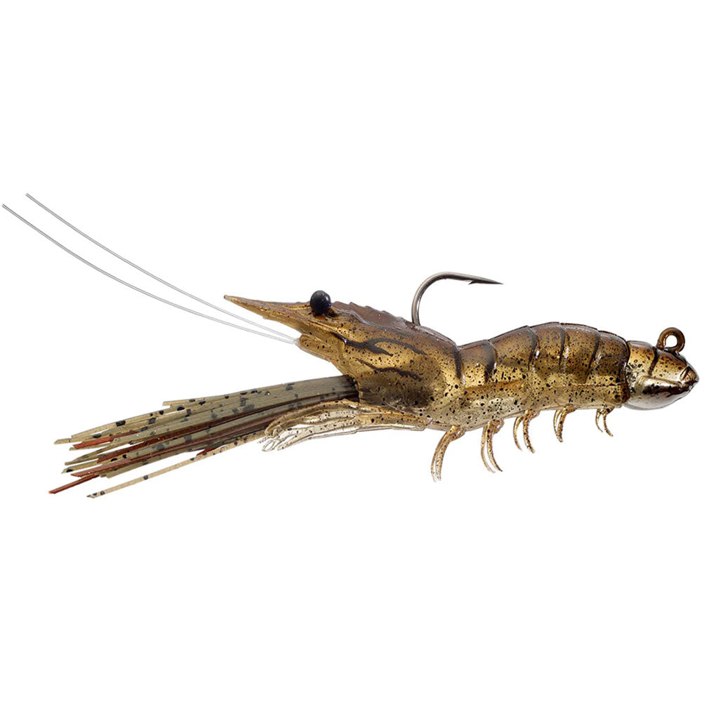 Live-Target-Fleeing-Shrimp-Sand-Shrimp