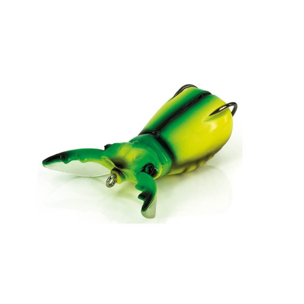 Molix Supernato Beetle Baby Chart Beetle