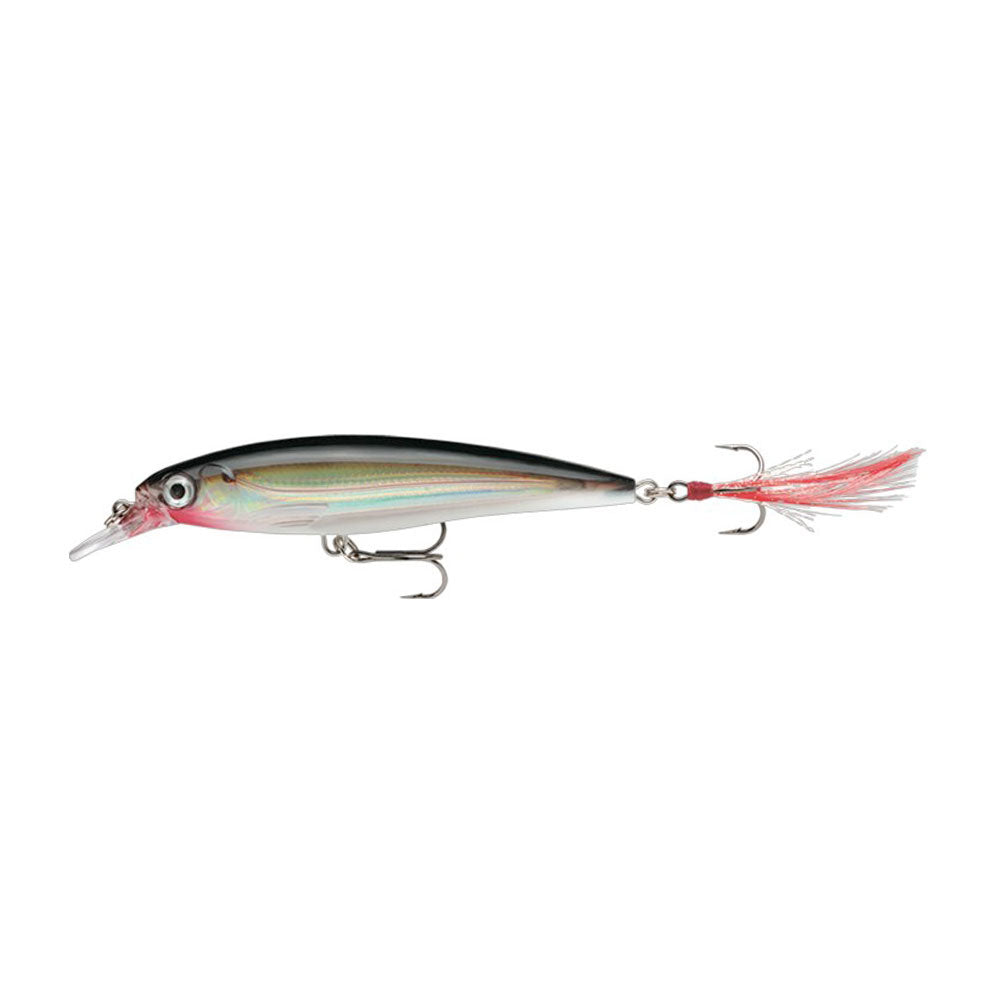 Rapala X Rap 10 cm Silver