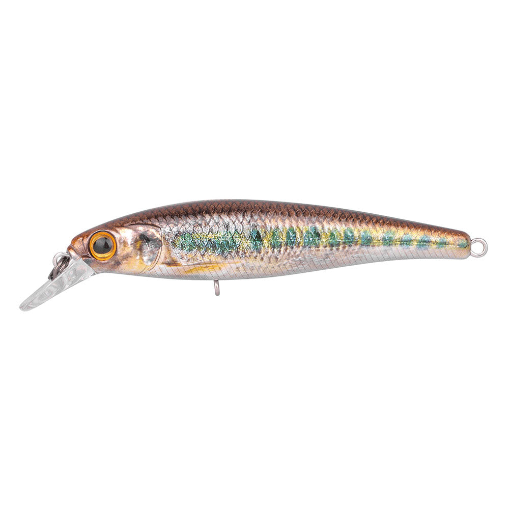 SPRO Ikiru Silent Jerk SLS 65 Gudgeon