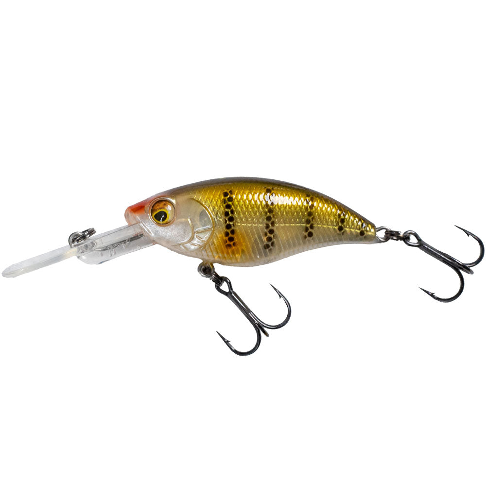 Westin-BuzzBite-Crankbait-Golden-Ghost-Perch Hecht und Barsch Edition