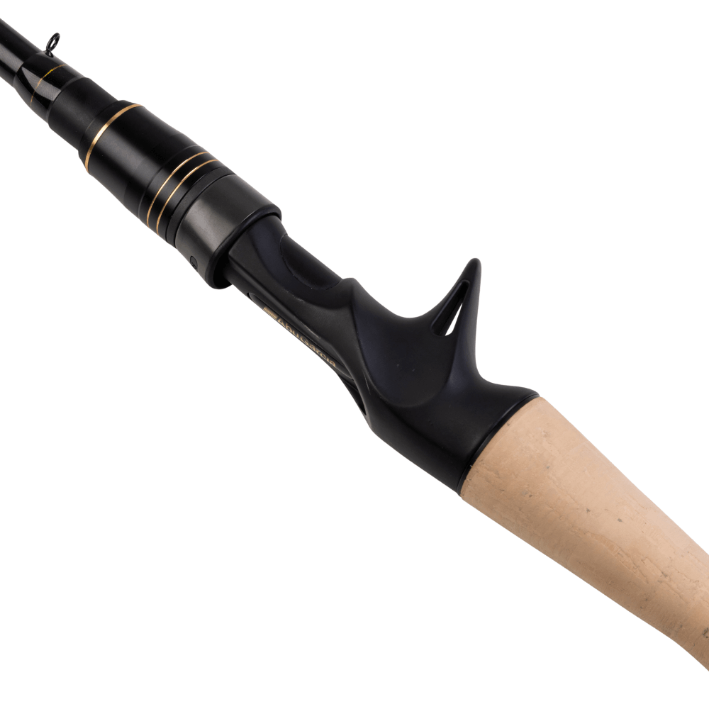 Abu Garcia RockSweeper (Casting) bei HechtundBarsch.ch