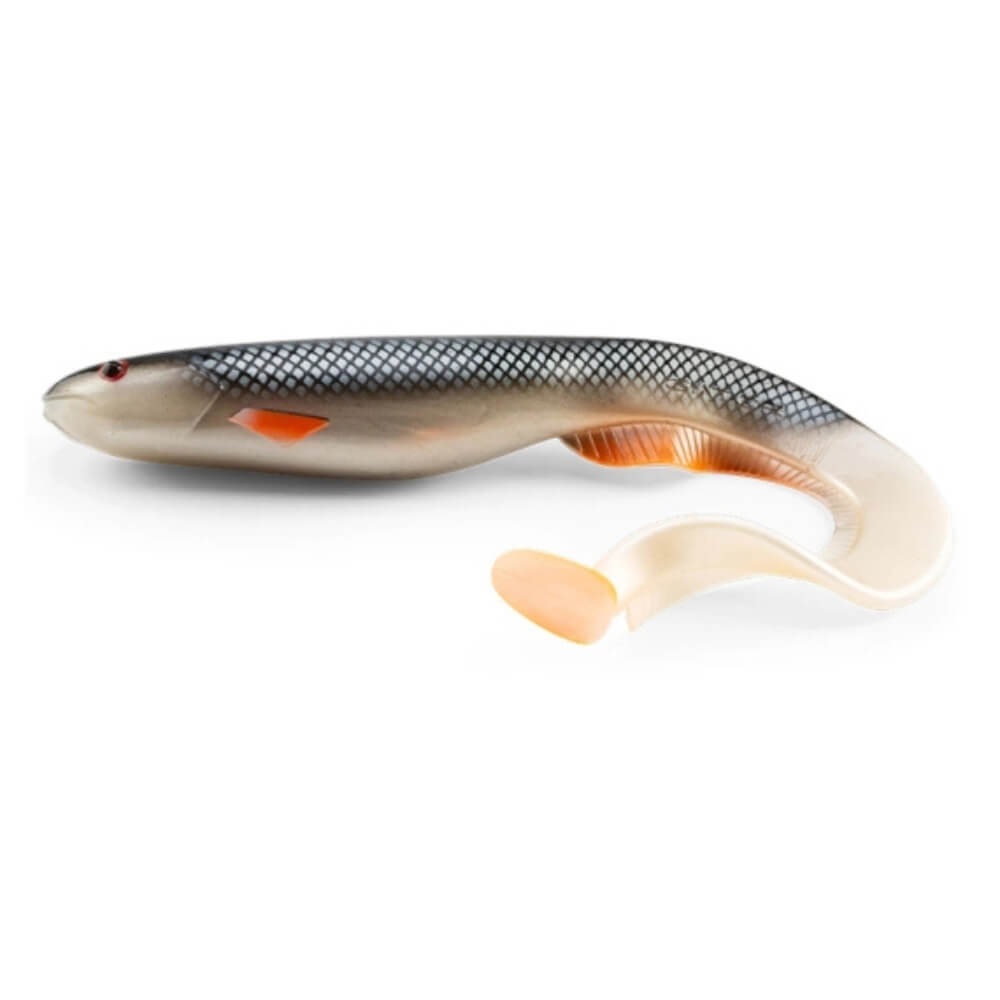 Gator Catfish Roach