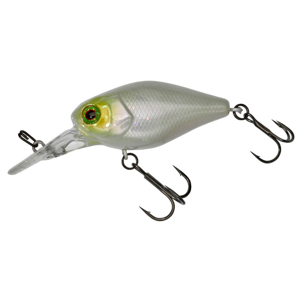 Jackall Chubby 41 MR bei HechtundBarsch.ch