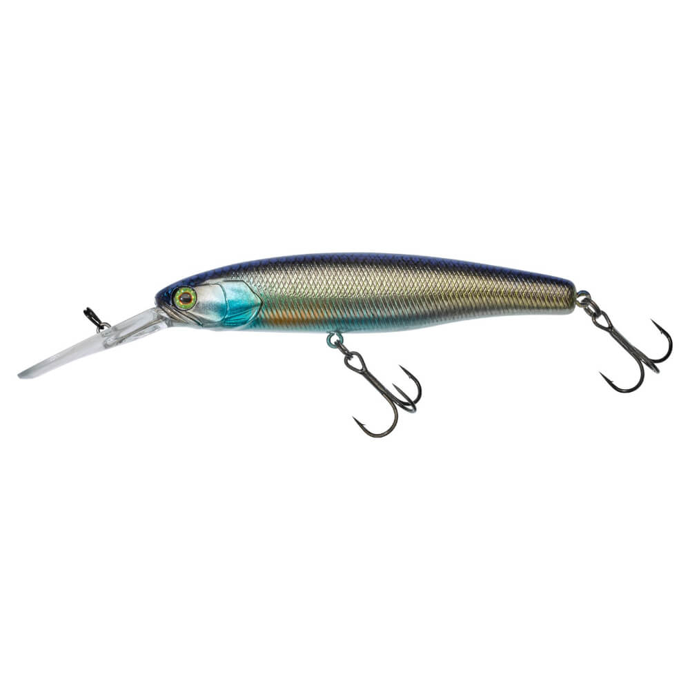 Jackall DD Arnaud 100 SP bei HechtundBarsch.ch