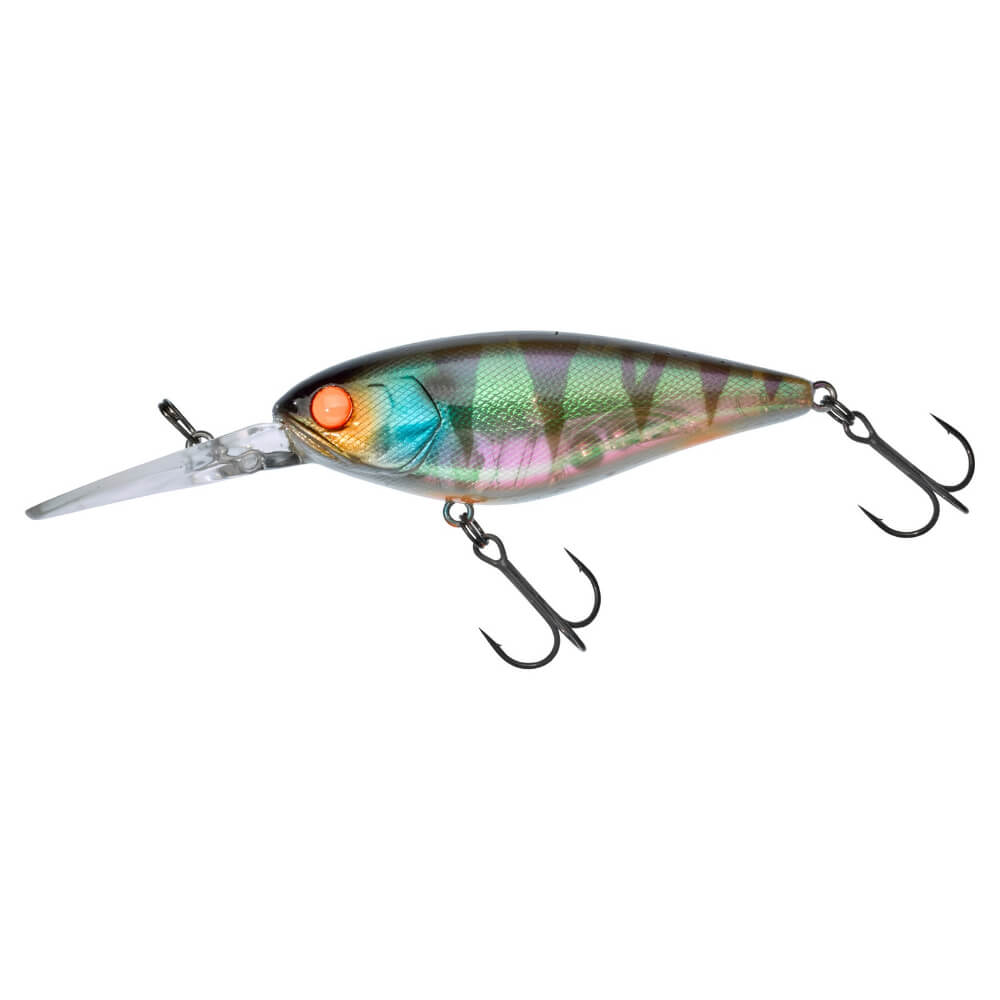 Jackall Flat DD Squirrel 79 SP bei HechtundBarsch.ch