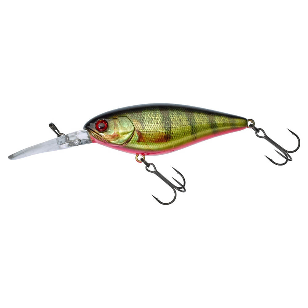 Jackall Flat DD Squirrel 79 SP bei HechtundBarsch.ch