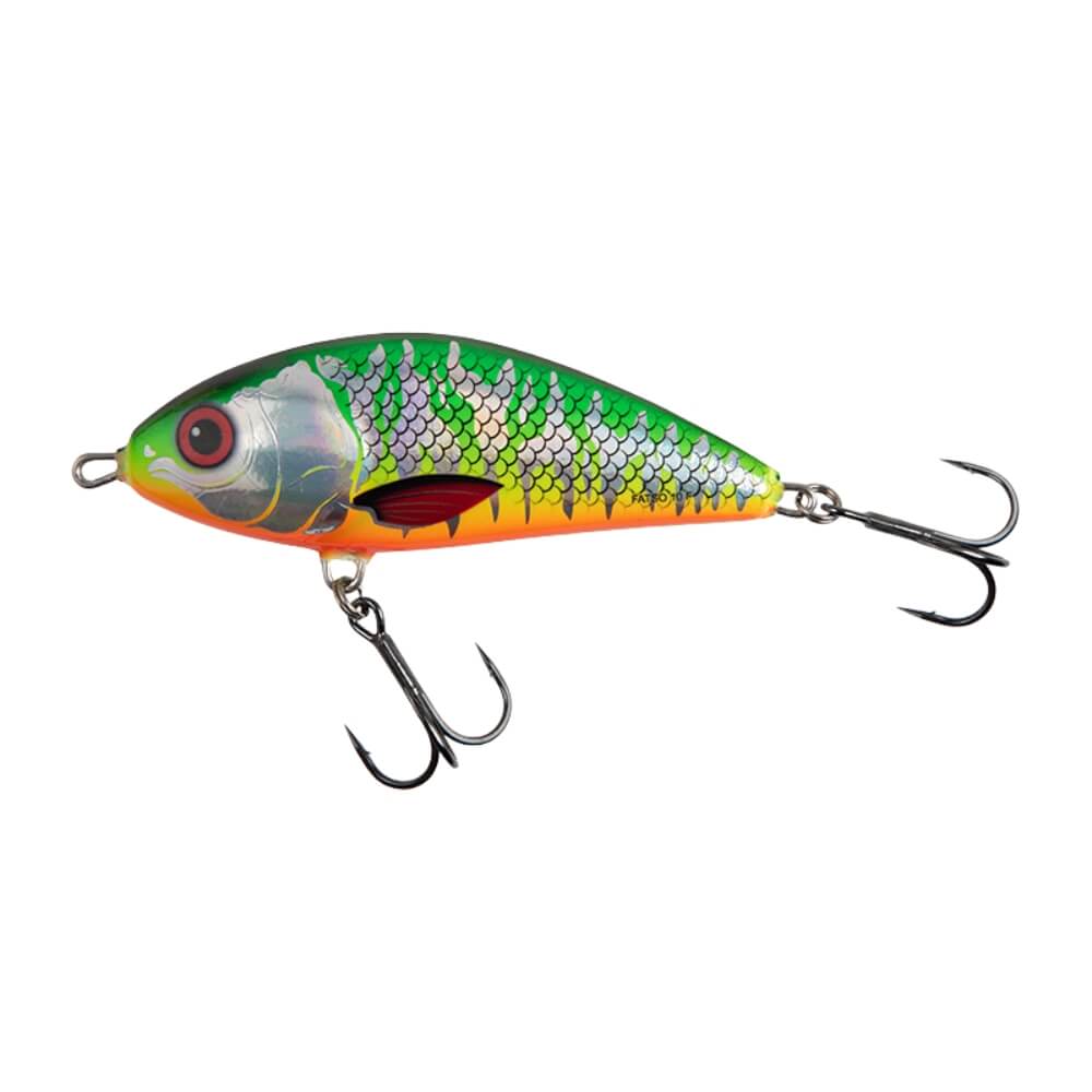 Salmo Fatso bei HechtundBarsch.ch