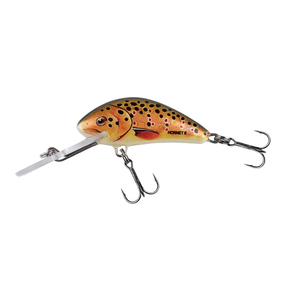 Salmo Hornet bei HechtundBarsch.ch