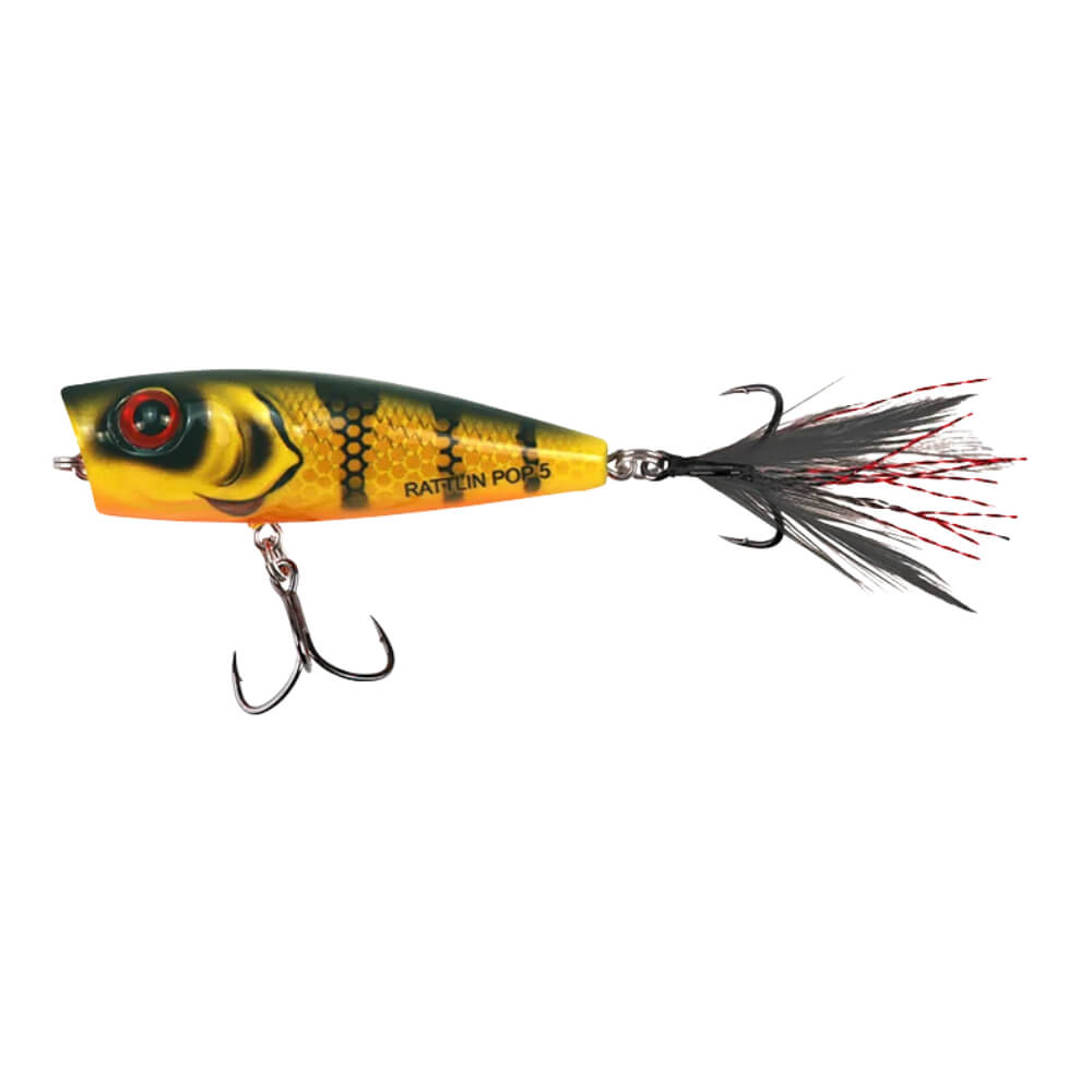 Salmo Rattlin' Pop bei HechtundBarsch.ch