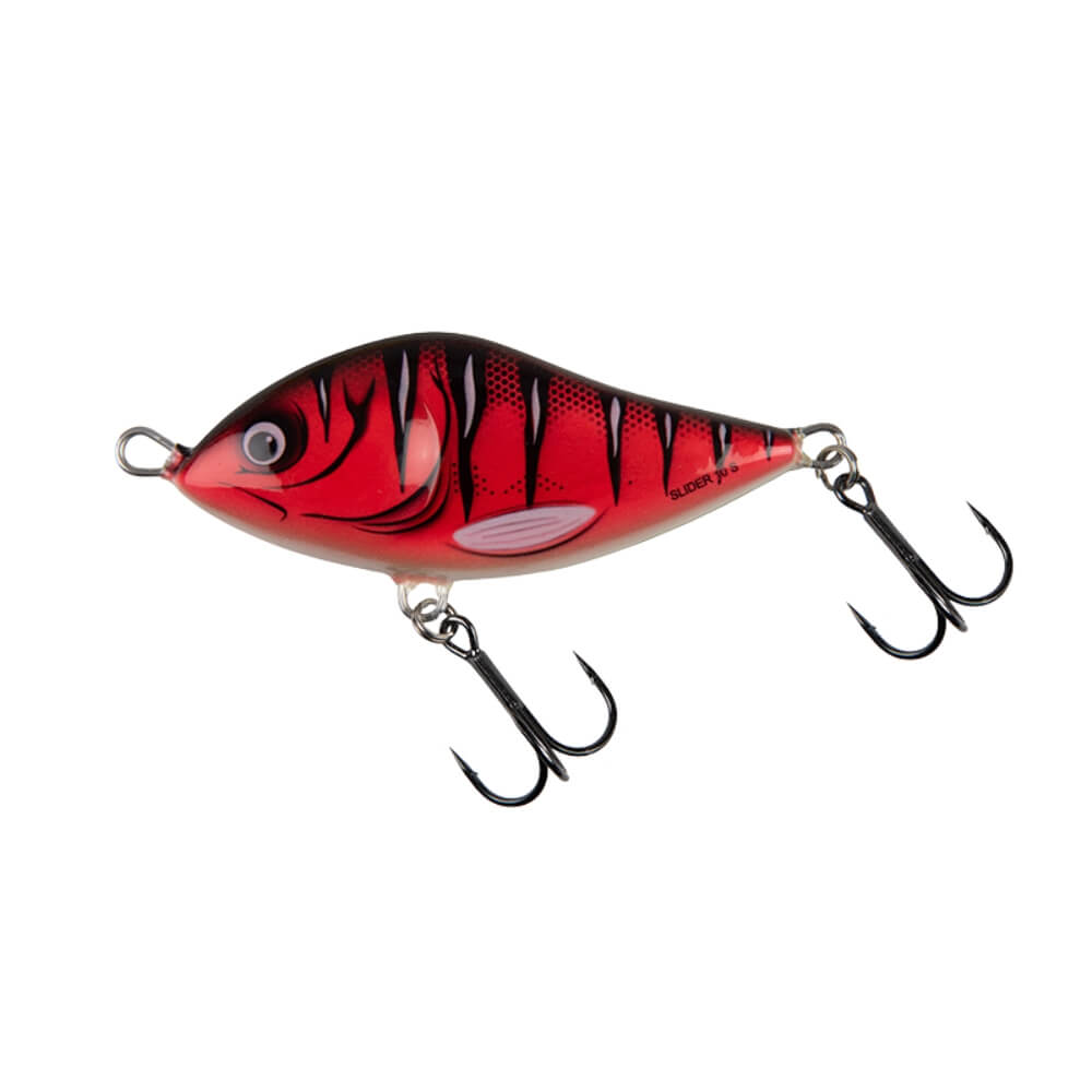 Salmo Slider bei HechtundBarsch.ch