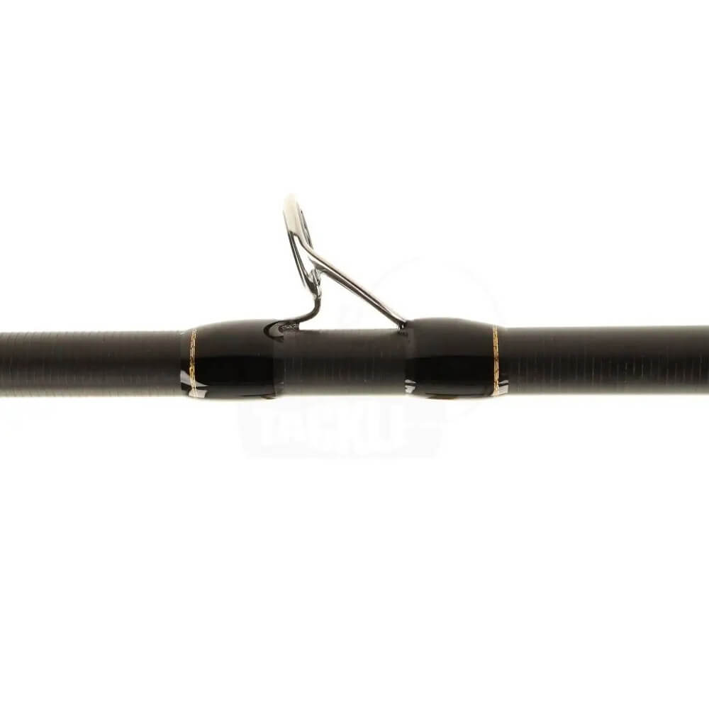 Tailwalk Del Mundo (Casting) Startring