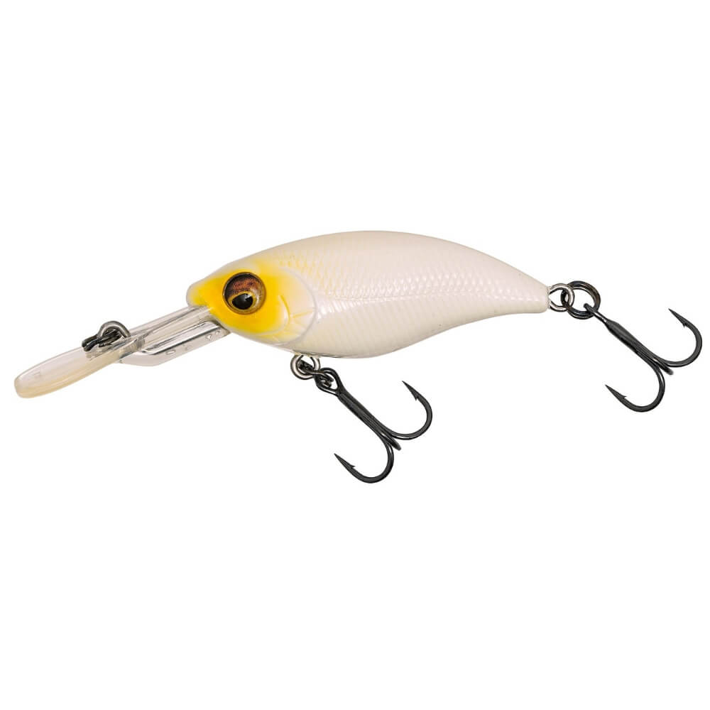 Westin Gift Box Dietmar Isaiaschs Favorites BuzzBite Bone