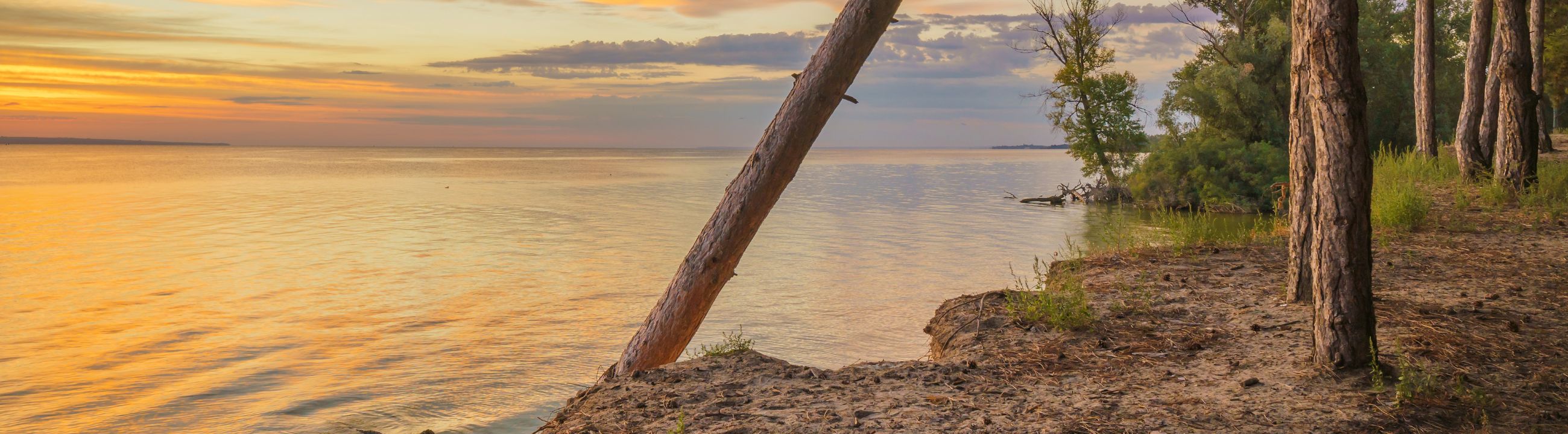 Abu Garcia Ruten » Große Auswahl an Angelruten
