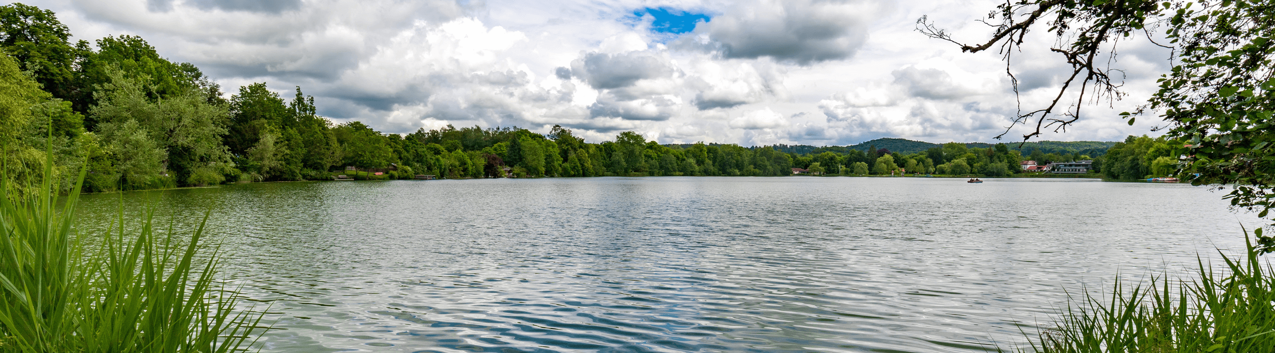 Finesse Rigs | HechtundBarsch.ch (Schweiz)