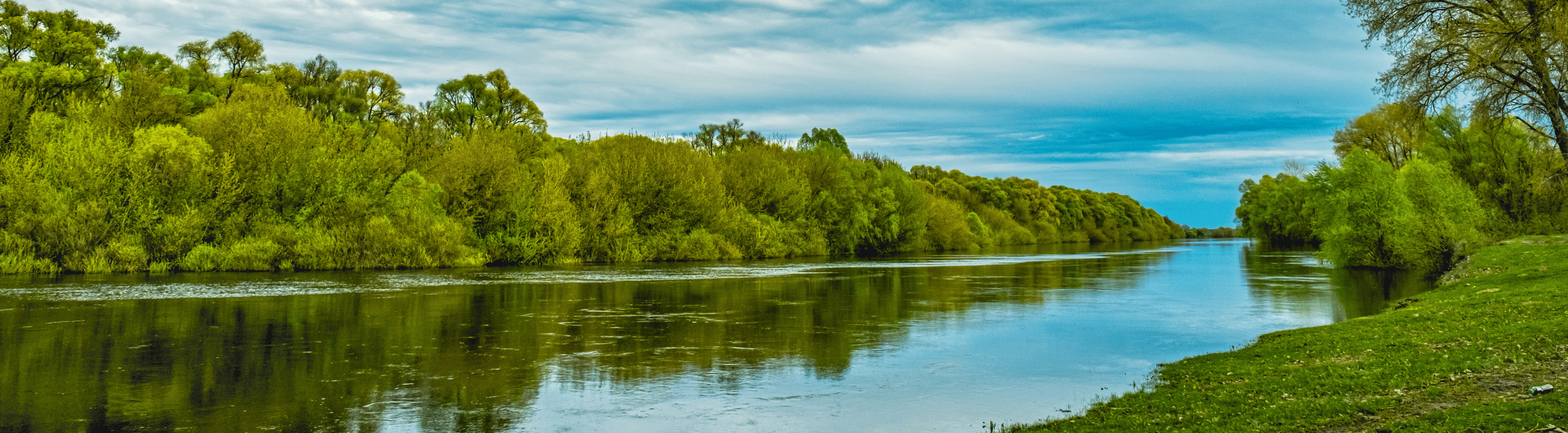 Collection Banner - Zander