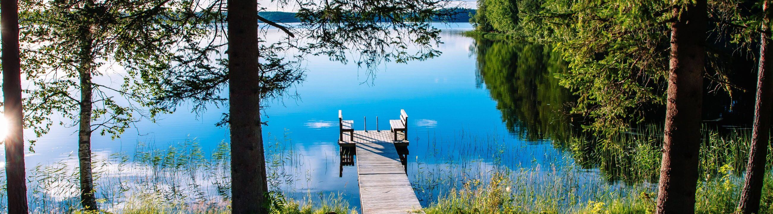 Deadbait Angeln - Angeln mit totem Köderfisch - collection Banner