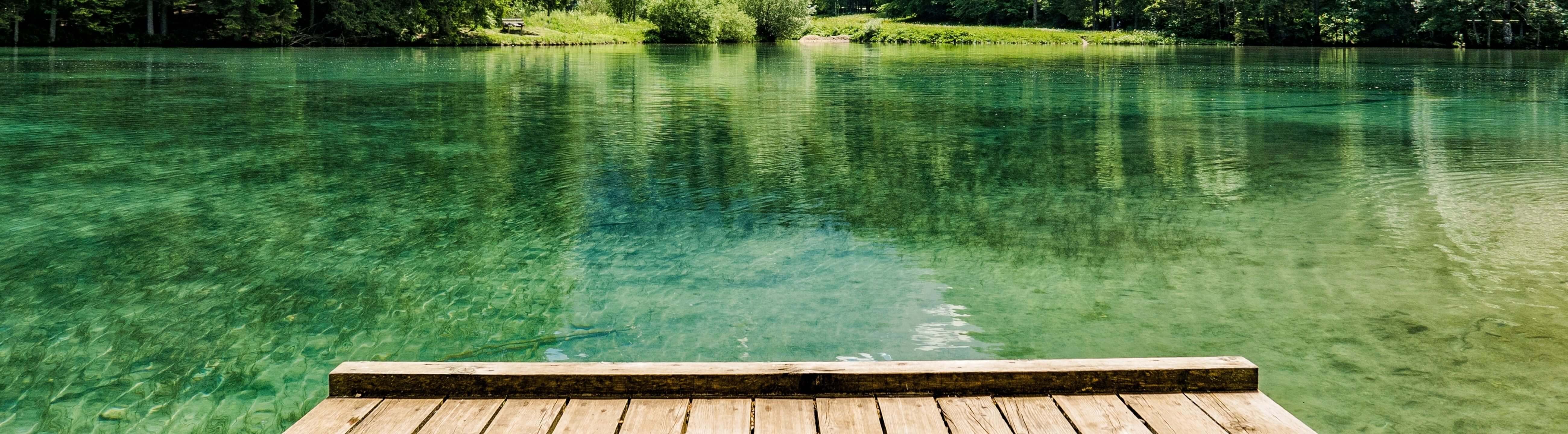 Teleskopruten deine neue Telerute zum Deadbait angeln- collection Banner