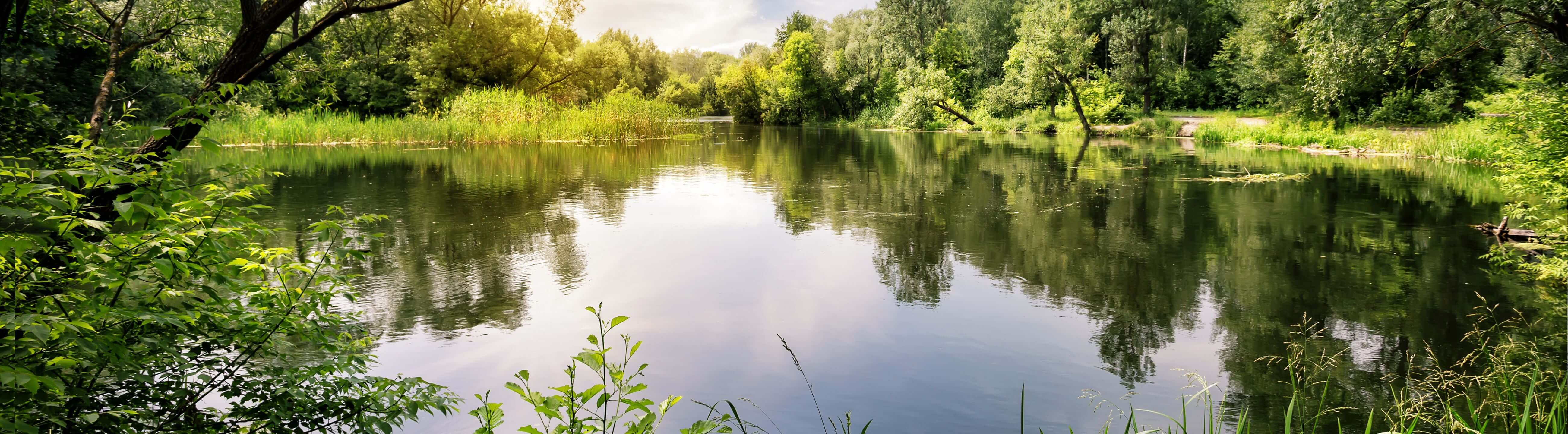 Deadbait Ruten - Teleskoprute oder feederrute, Angel zum Köderfisch angeln und fangen