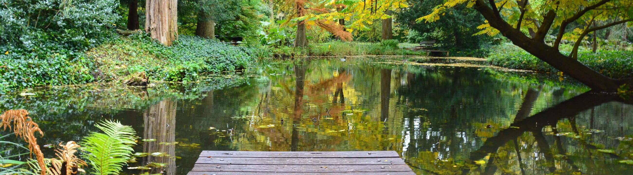 Deadbait Terminal Tackle - kleinteile und mehr, alles für deine Köderfisch Montage - collection Banner