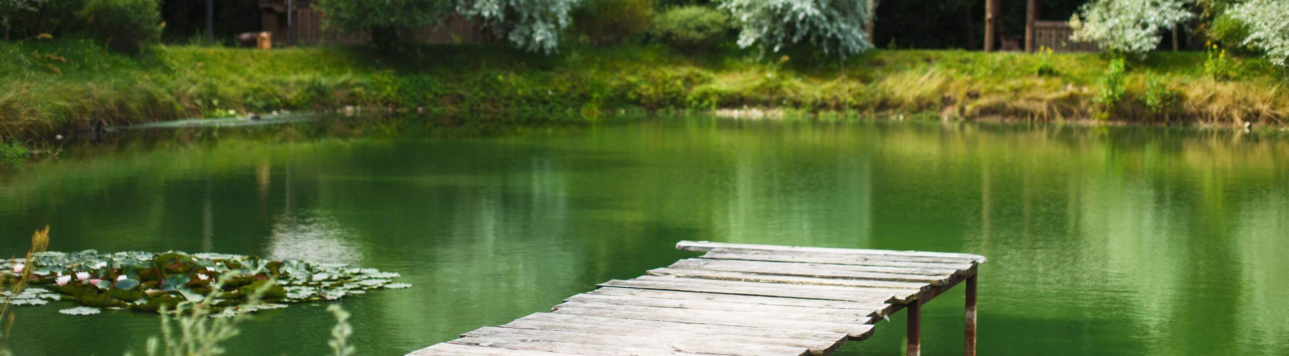 Feederruten , deine rute zum feedern, Rute zum Köderfisch fangen - collection Banner