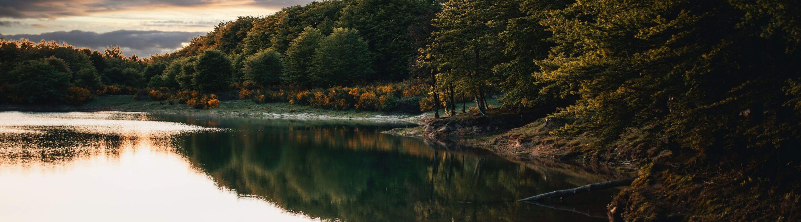 Deadbait Vorfächer alles für dein Köderfisch Vorfach